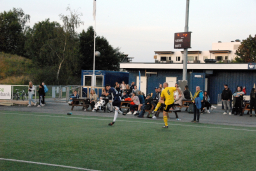 Varfjell - Tomrefjord 2023